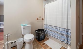 54207 New York 30, Roxbury, NY 12474