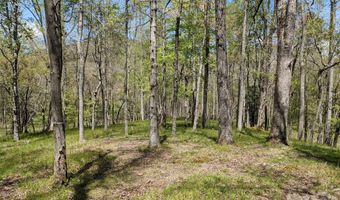 27 Woodtrail Way, Arden, NC 28704