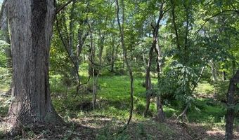 FOX RUN lot 24A 3.22 Ac, Baker, WV 26801