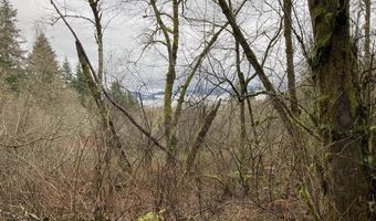 NE 197th Ct, Amboy, WA 98601