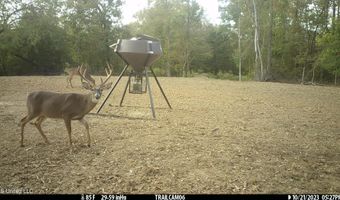 2233 Holloman Rd, Bentonia, MS 39040