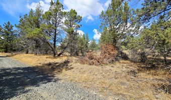 Canvasback Drive 32, Bonanza, OR 97623