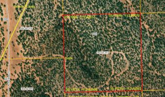 362 Big View Trl, Ash Fork, AZ 86320