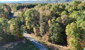 0 WALDROP Rd 10.82 Acres, Ashville, AL 35953