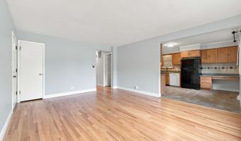 1113 S Haddow Ave, Arlington Heights, IL 60005