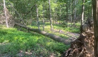242 Brush Mountain Rd, Altoona, PA 16601