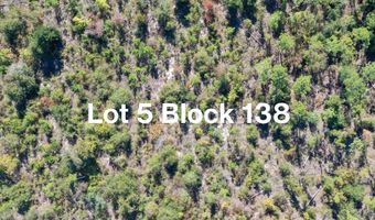 Lot 5 BLK 138 Abraham Street, Alford, FL 32420