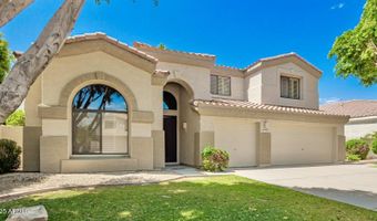 705 W DESERT BROOM Dr, Chandler, AZ 85248