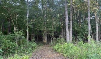 0 80 Acres-TBD Cantley Landing Rd, Andrews, SC 29510
