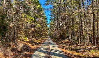 527 Forest Service Rd, Apple Springs, TX 75926