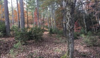 134 Sandy Lake Ln, Blairsville, GA 30512