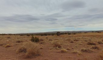 42 N5576, Concho, AZ 85924