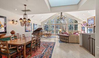 990 E Hopkins Ave, Aspen, CO 81611