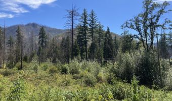 Blue River Dr, Blue River, OR 97413