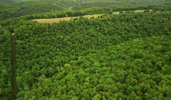 7064 County Road 14-223, Ava, MO 65608