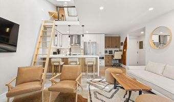 910 W Hallam St 9, Aspen, CO 81611