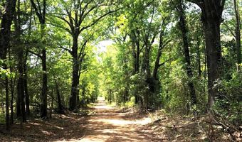 1071 LR 3, Ashdown, AR 71822