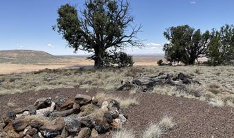 425 N 8051, Concho, AZ 85924