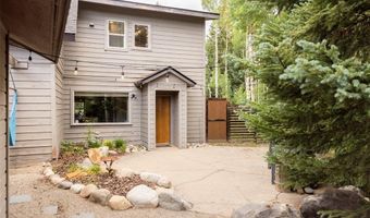 133 GOLD RUN Rd, Alma, CO 80440