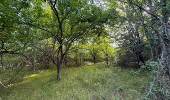 Tract 9 Highway 70, Bennington, OK 74723