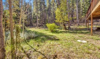 220 Timber Rd, Black Hawk, CO 80422