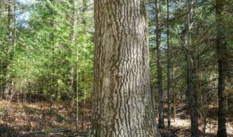 5840 Wildwood Rd, Alger, MI 48610