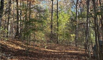 33 Eagle Rdg, Ball Ground, GA 30107