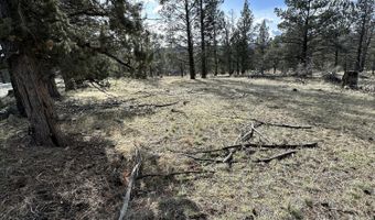 Widgeon Drive lot 3, Bonanza, OR 97623