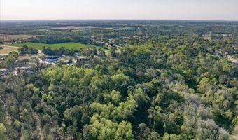 509 E Mitchell St, Adel, GA 31620