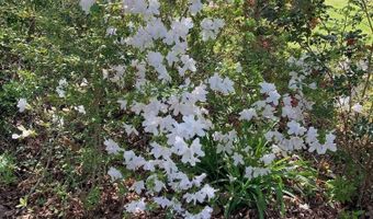 4728 PITTS Ave, Anniston, AL 36206