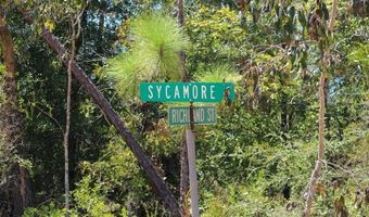 Sycamore Street, Alford, FL 32420