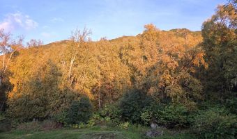 21507 Tony Cir, Chugiak, AK 99567