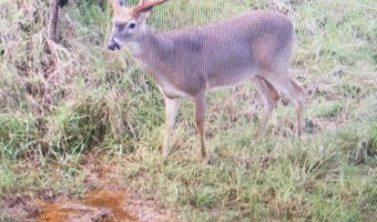 001 Farr Rd, Bolton, MS 39041