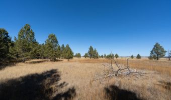 TBD Valley Road, Custer, SD 57735