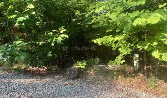617 N North Pointe Trl, Allons, TN 38541