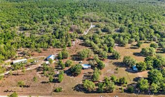 11751 NE 116TH St, Archer, FL 32618