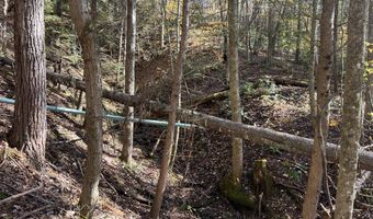 523 Honey Creek Loop Rd, Allardt, TN 38504