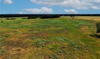 Tbd Tract 5 Fm-2819, Anderson, TX 77830