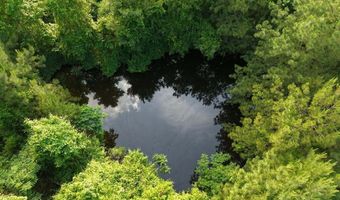 148 Butler Dr, Braxton, MS 39044