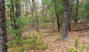 Dover Drive lot 1 14 Ac, Adams, WI 53910