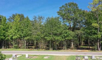 Lot 1a Harris St, Atmore, AL 36502
