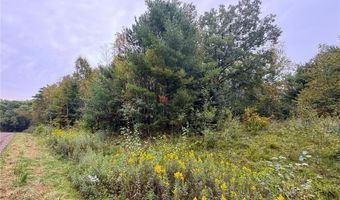 34 Xxx 80ac 298th St, Aitkin, MN 56431