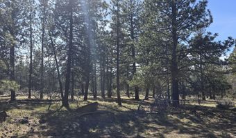 Widgeon Drive 39, Bonanza, OR 97623