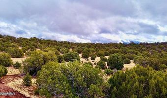 Tbd Co Rd 8256 Lot D 10 Acres, Concho, AZ 85924
