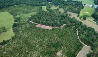 4601 Seven Pines Rd Lot 4 & 1, Barnwell, SC 29812