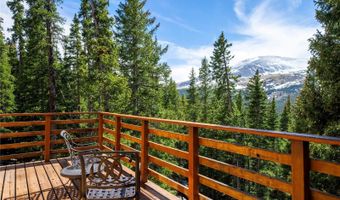 307 Lakeview Dr, Alma, CO 80420