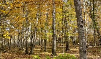 1544 Willard Lake Rd NW, Backus, MN 56435