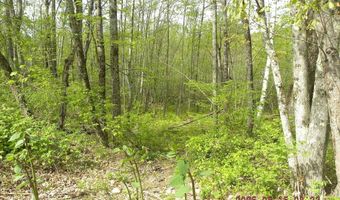 Lot 35 Bennett Road, Alfred, ME 04002