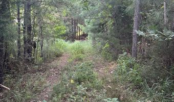 Lot 3a Elberton Highway, Lincolnton, GA 30817