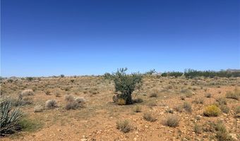 Palo Verde Drive, Chloride, AZ 86431